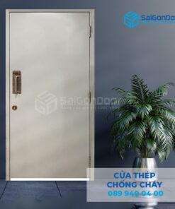 Cửa Thép Chống Cháy P1 xam-SGD