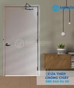 Cửa Thép Chống Cháy P1 Xám Trắng dung cui cho hoi thuy luc-SGD