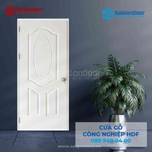 Cửa Gỗ HDFA C1 SGD HDF