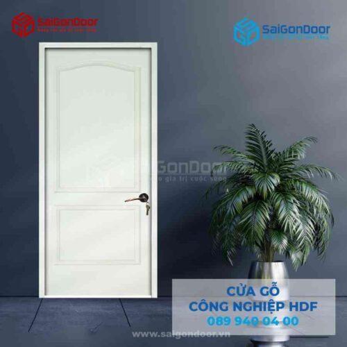 Cửa Gỗ HDFA C2 SGD HDF