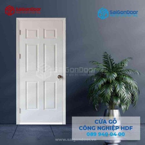 Cửa Gỗ HDFA C1 SGD HDF