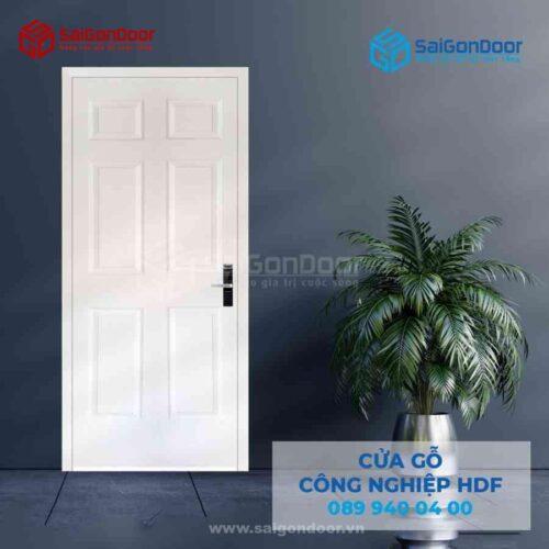 Cửa Gỗ HDFA C1 SGD HDF