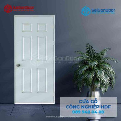 Cửa Gỗ HDFA C1 SGD HDF