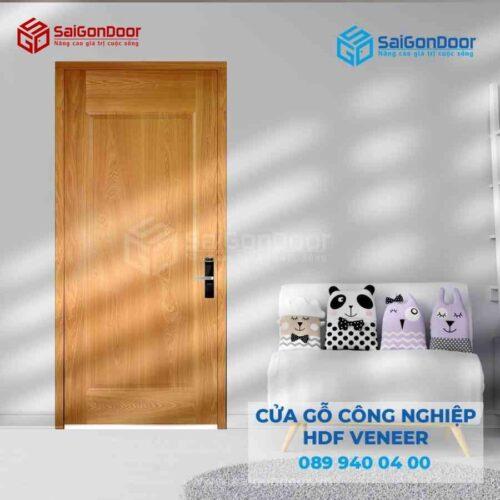 Cửa Gỗ HDF VeneerB Ash