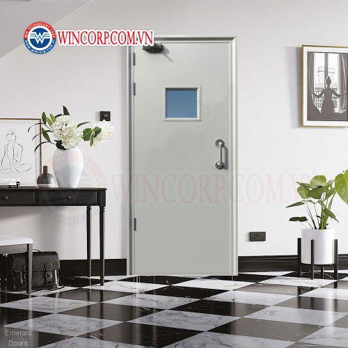 Cửa thép chống cháy TCC.P1G1 - Ảnh 2