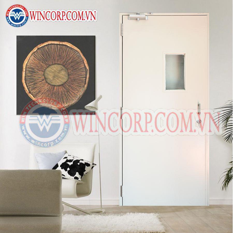Cửa thép chống cháy TCC.P1G1-9005 - Ảnh 2