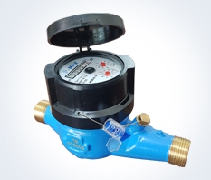 Đồng hồ đo nước nối ren đồng P-MAX