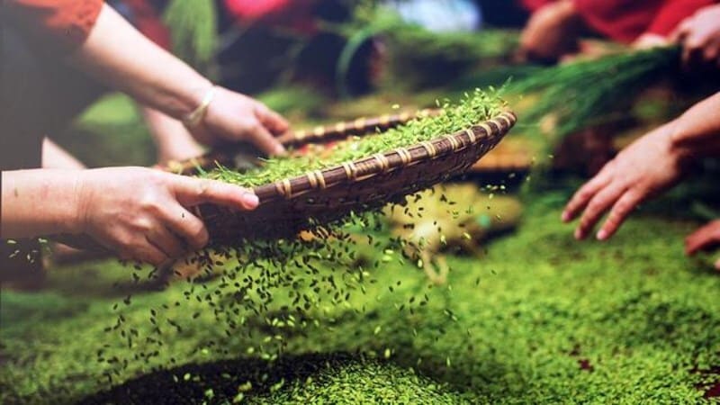 Hương Vị Hà Nội Qua Bánh Cốm 55 Hàng Than 6 Hương Vị Hà Nội Qua Bánh Cốm 55 Hàng Than