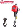 Pa Lăng Xích Điện KENBO DHS10T (DHP) SP004088 (220V-10Tx6m) 6 shopdoluong.com-Pa Lăng Xích Điện KENBO DHS10T (DHP) SP004088 (220V-10Tx6m)