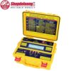 MÁY ĐO ĐA CHỨC NĂNG & ĐIỆN TRỞ CÁCH ĐIỆN SEW 4175 TMF (1kV/8GΩ) 7 shopdoluong.com-MÁY ĐO ĐA CHỨC NĂNG & ĐIỆN TRỞ CÁCH ĐIỆN SEW 4175 TMF (1kV/8GΩ)