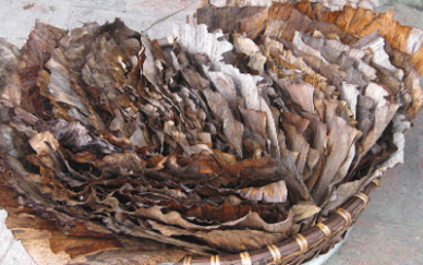 Lá chuối gói bánh gai