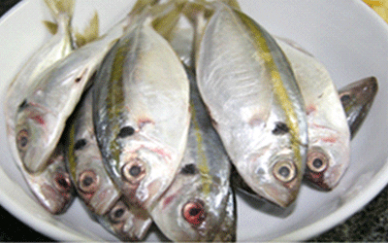 Ướp cá chỉ vàng