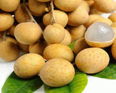 quả nhãn tươi để làm long nhãn