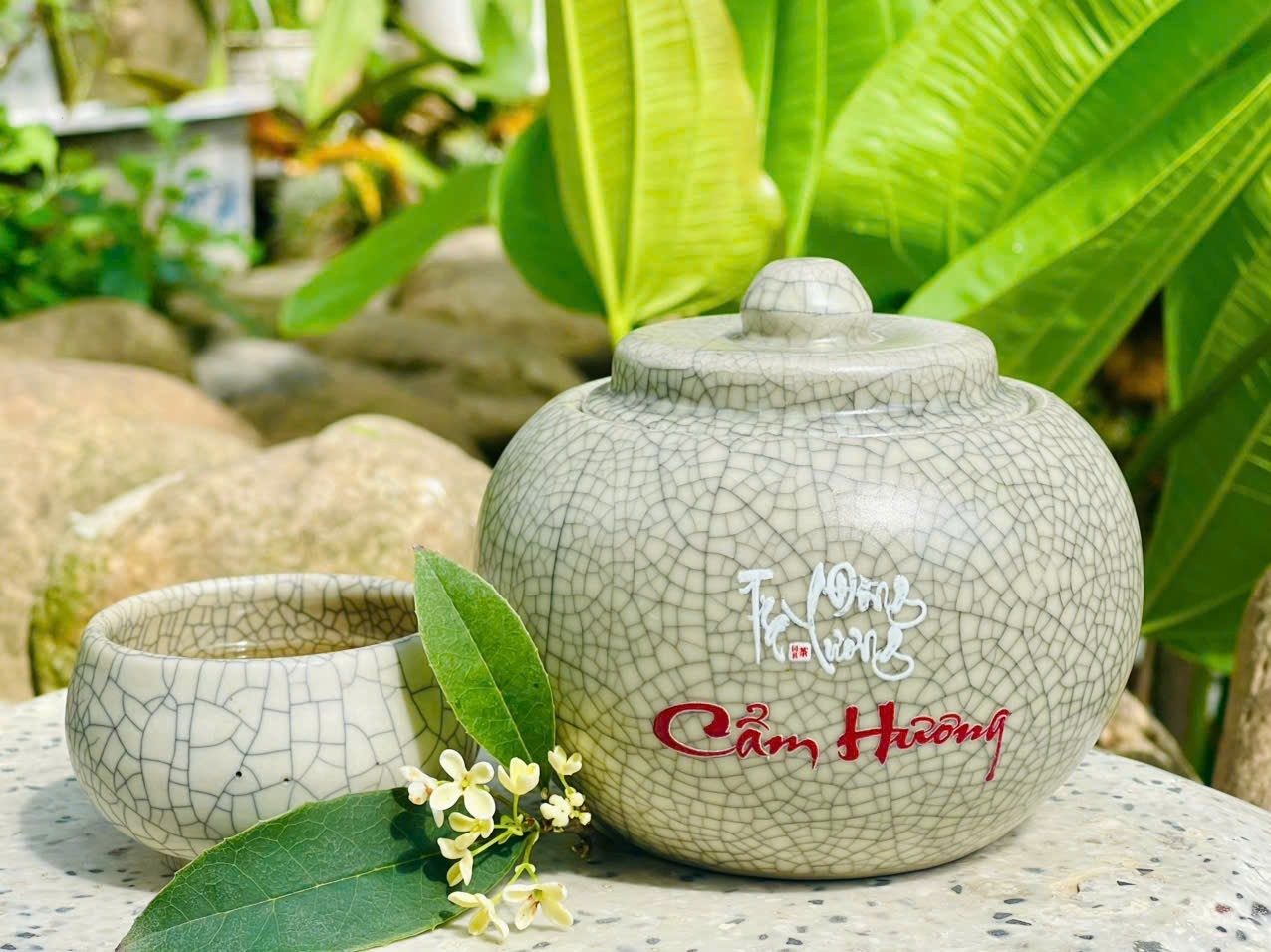 Cẩm Hương