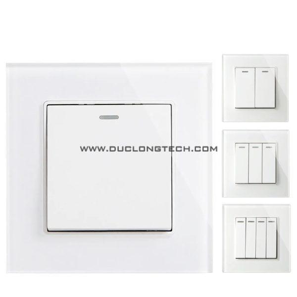 Công tắc điện âm tường 1 chiều và 2 chiều DL F21 Series