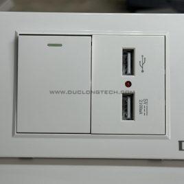 Ổ Cắm Điện Đa Năng Âm Tường Kết Hợp Cổng Sạc USB thương hiệu DL