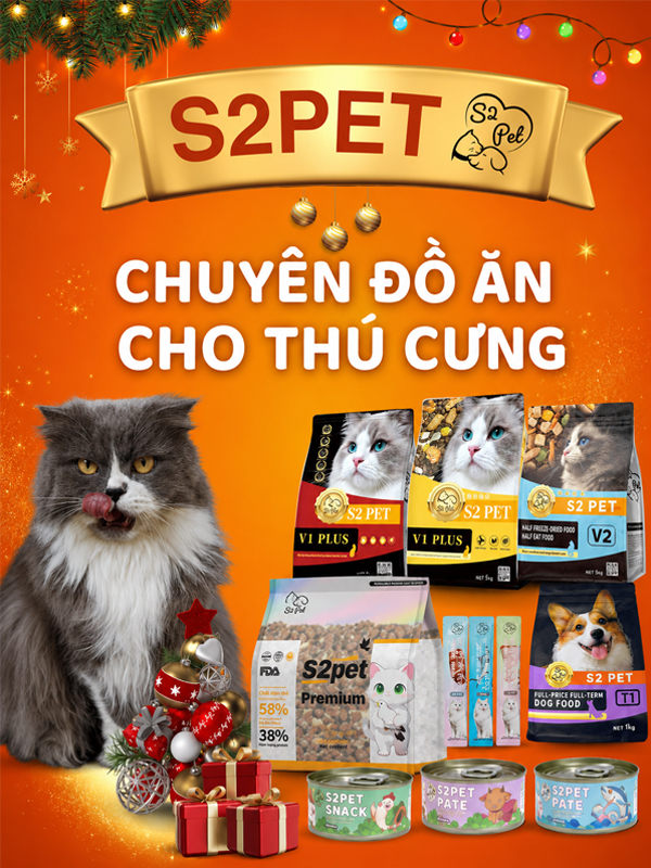 mb home s2petfood 02