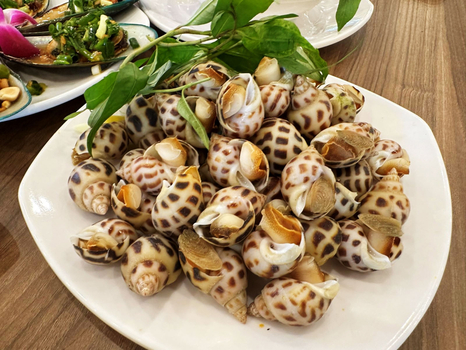 Ốc Hương 1 oc huong