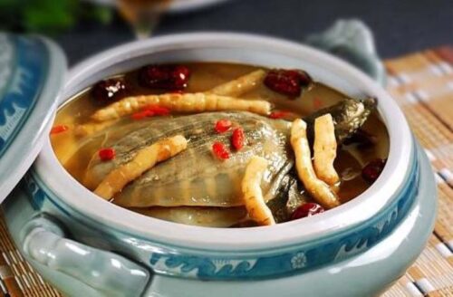 高丽参炖甲鱼