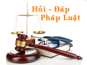 hỏi đáp pháp luật