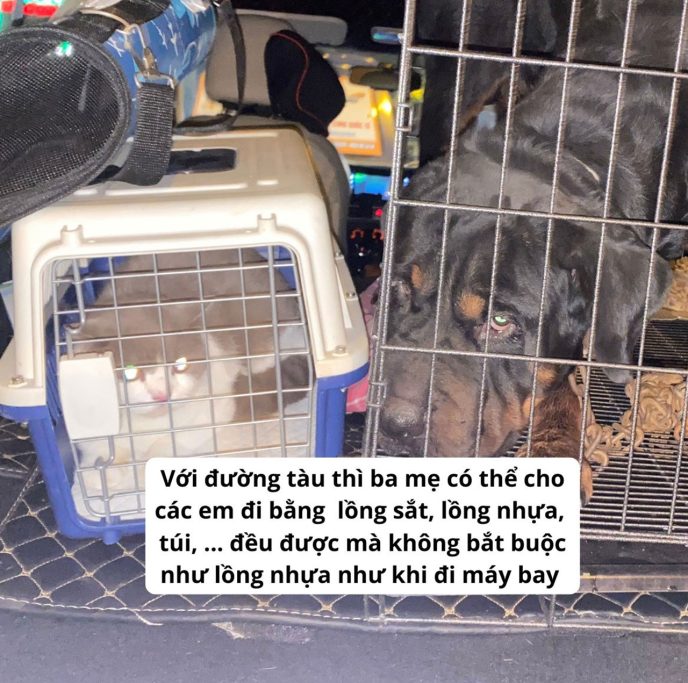 Dịch vụ vận chuyển thú cưng bằng tàu hỏa 4 van chuyen thu cung bang tau hoa 3