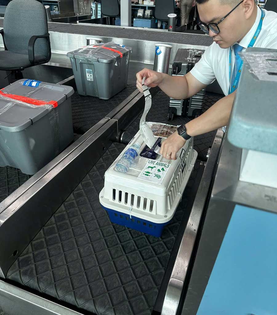 Quy định về lồng vận chuyển