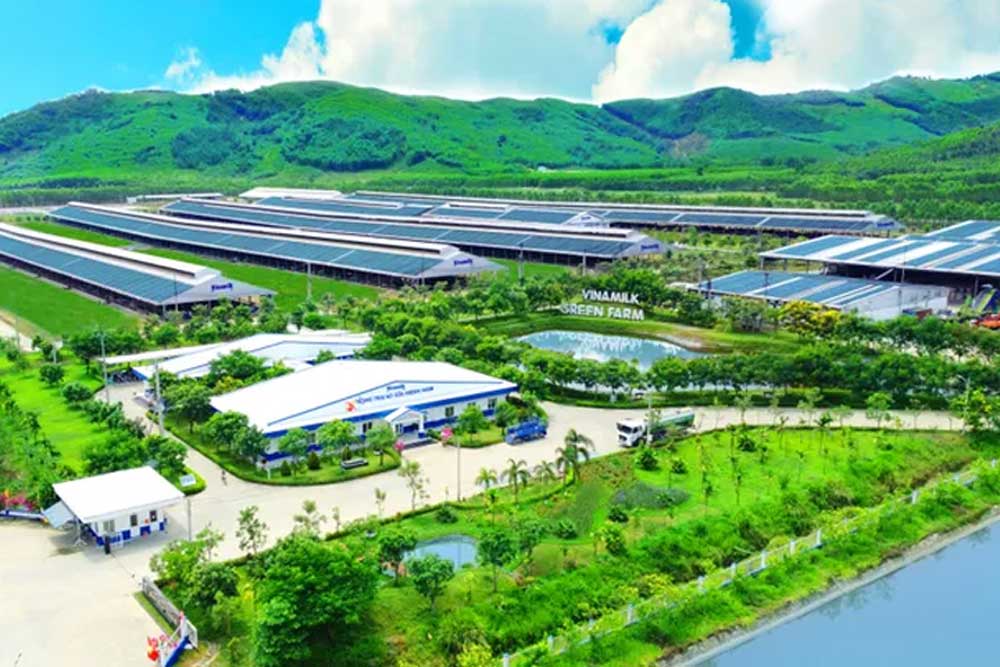 Chuỗi cung ứng xanh là gì? Các thành phần chính trong chuỗi cung ứng xanh 3 Chuỗi cung ứng xanh tại Vinamilk