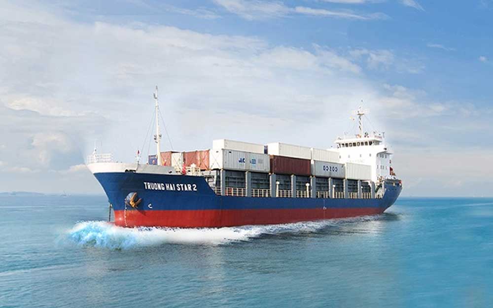 Neo Bulk là gì trong xuất nhập khẩu? Tìm hiểu chi tiết 2 Neo bulk là gì