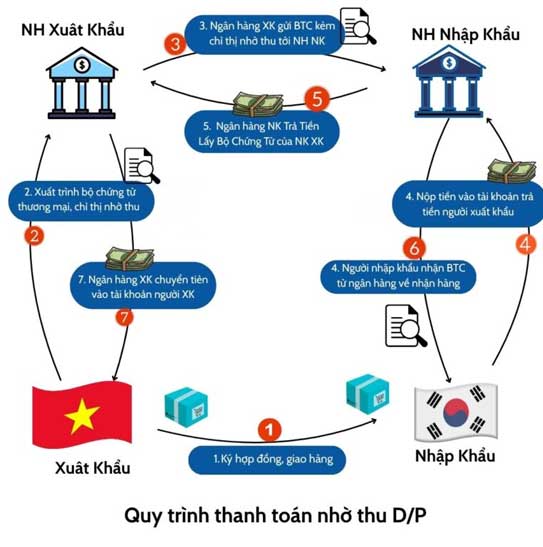 Quy trình thanh toán nhờ thu DP