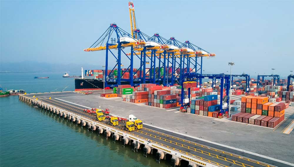 cang tai hai phong 1