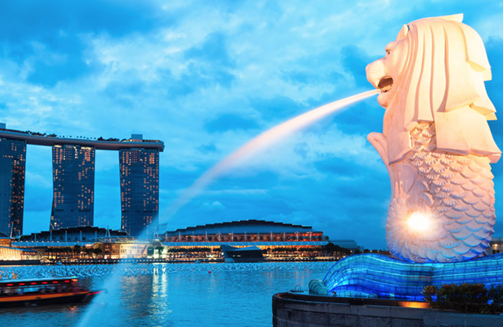 Mua hộ hàng Singapore về Việt Nam nhanh chóng, tiết kiệm 1 Mua hộ hàng Singapore
