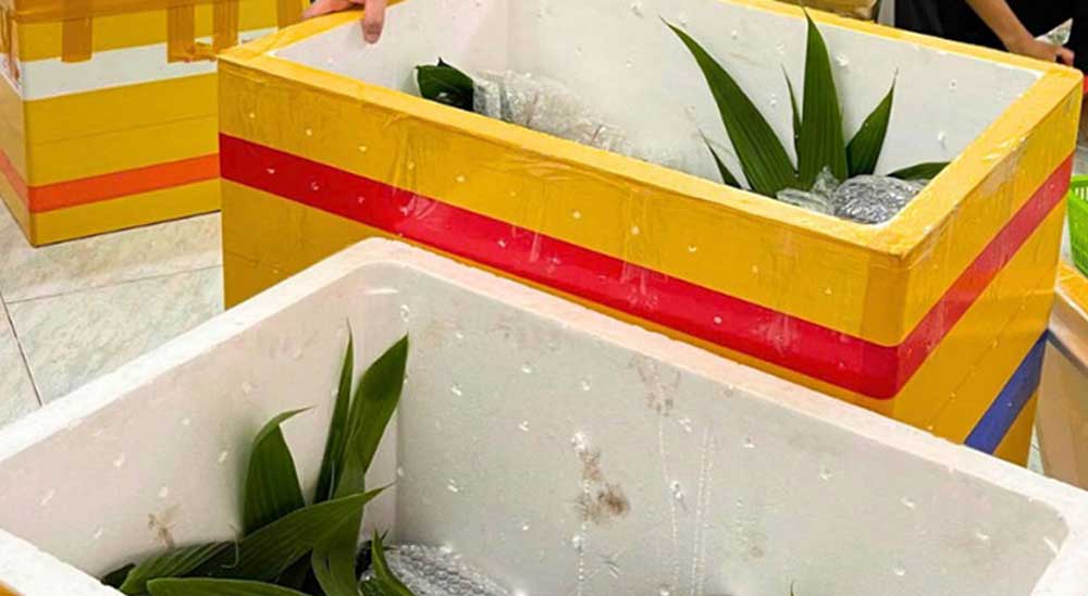 Vận chuyển cây từ Việt Nam đến Mỹ