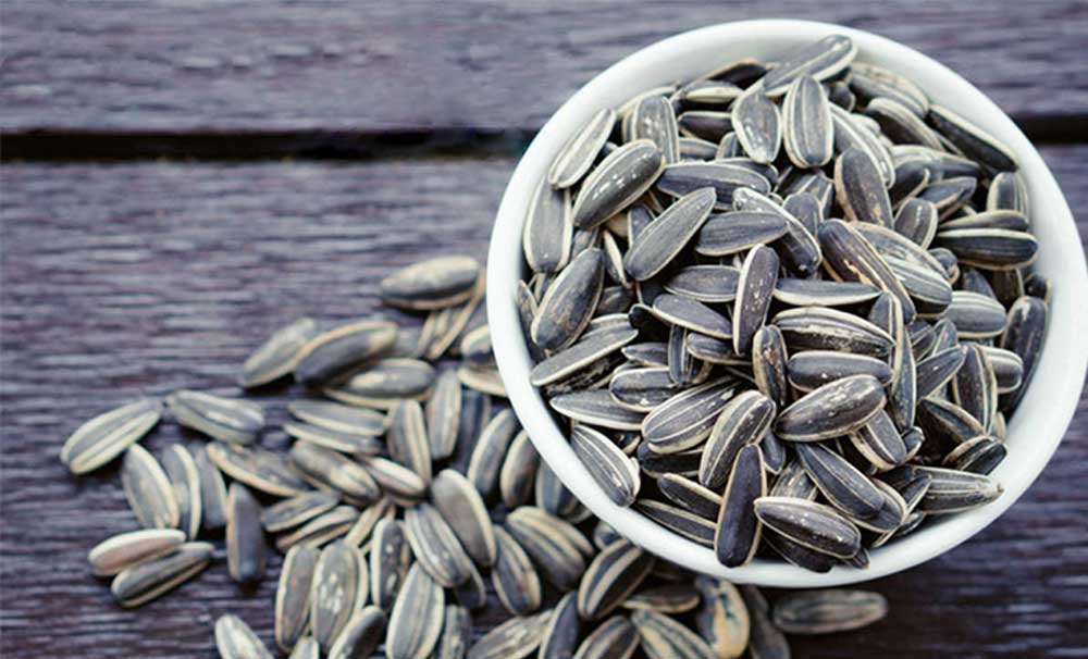 Thủ tục nhập khẩu hạt hướng dương