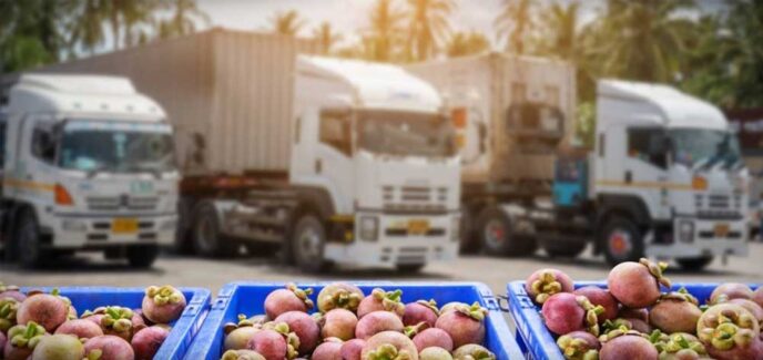 Vận chuyển hoa quả Bắc Nam