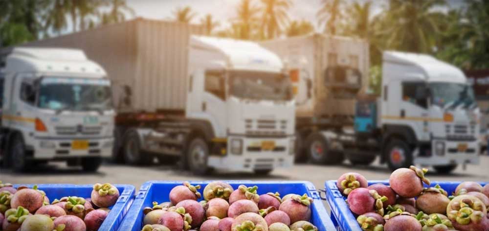Vận chuyển hoa quả Bắc Nam