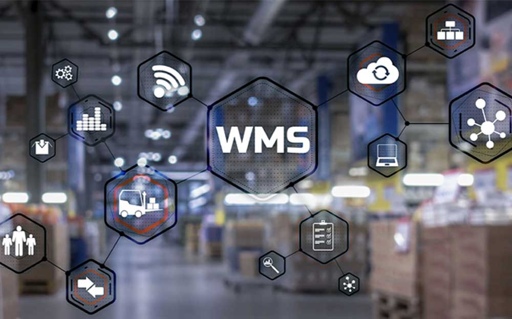 wms-la-gi-1