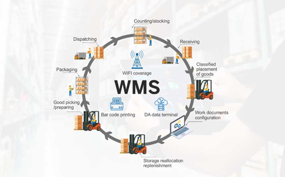 wms la gi 3