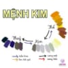 Ống nghe ADC 608 FG 3 MENH KIM
