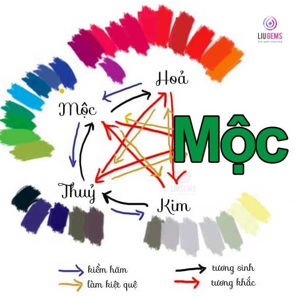 MENH-MOC.jpg MENH MOC