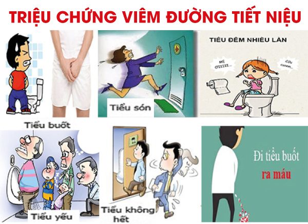 Bệnh viêm đường tiết niệu 39 trieu chung viem duong tiet nieu