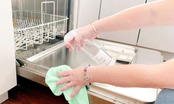 Vệ sinh cửa và gioăng cửa máy rửa bát Hafele