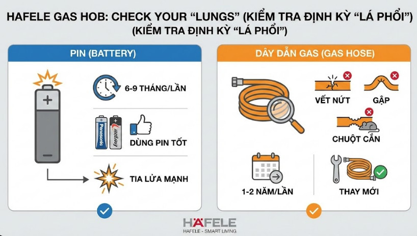 Kiểm tra định kỳ