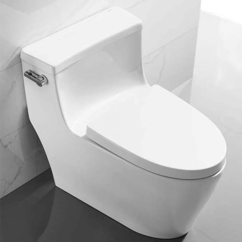 Ảnh thực tế bồn cầu 1 khối Iconic Hafele 588.79.401 Ảnh thực tế bồn cầu 1 khối Iconic Hafele 588.79.401