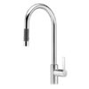 Vòi rửa bát Dudoff London PLATIUM CAMELLA(XS-062496) 1 dudoff london platium camella xs 062496 0