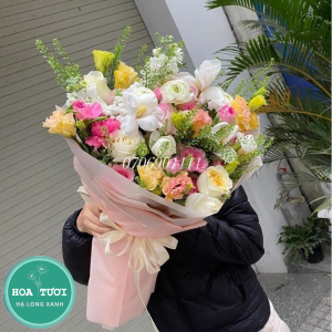 HB017 - Màu Nắng