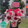 HG020 - Hồng Hạnh 1 17 1