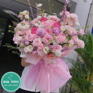 HB005 - Nắng Hồng