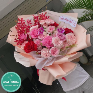 HB009 - Kiêu Sa