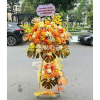 HKT015 - Nắng Vàng 2 a1