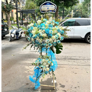 HKT033 - Ngày Mới